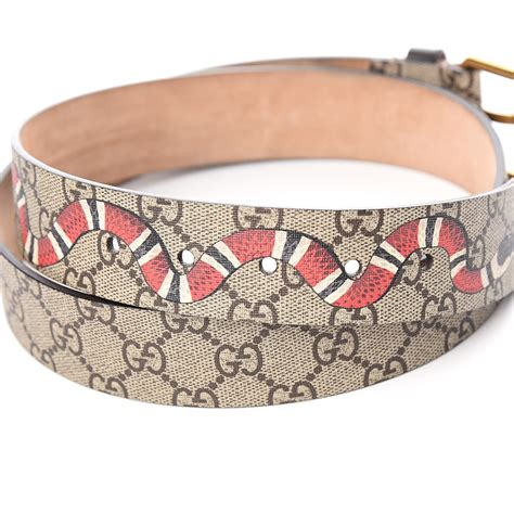 gucci belt kingsnake.